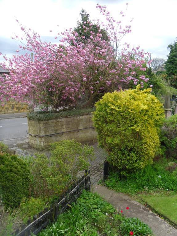 The Old Vicarage Bed & Breakfast Belford Bagian luar foto